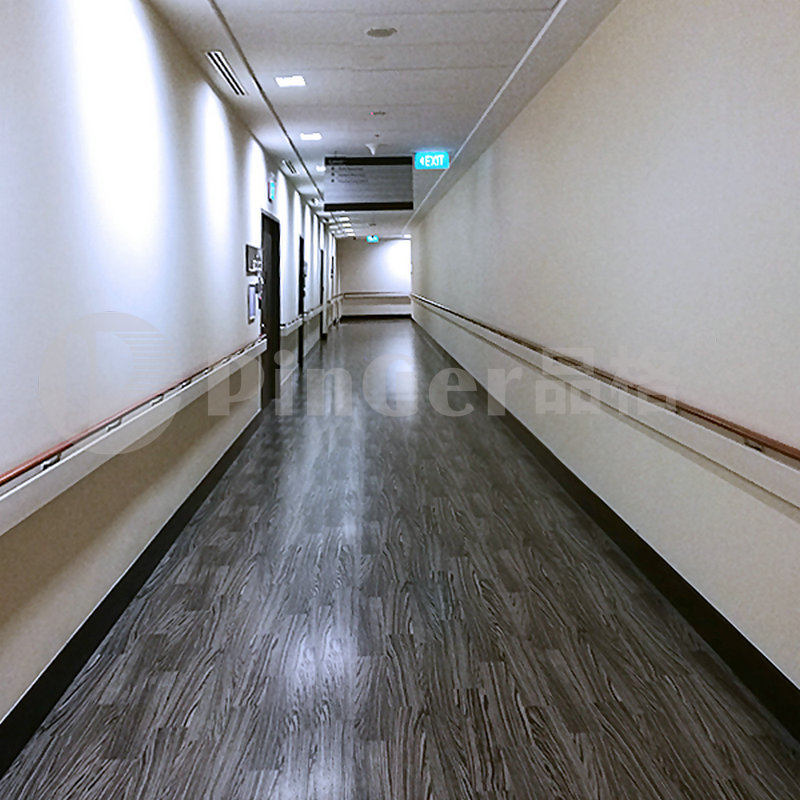 corridor wall protection Acrovyn Handrail