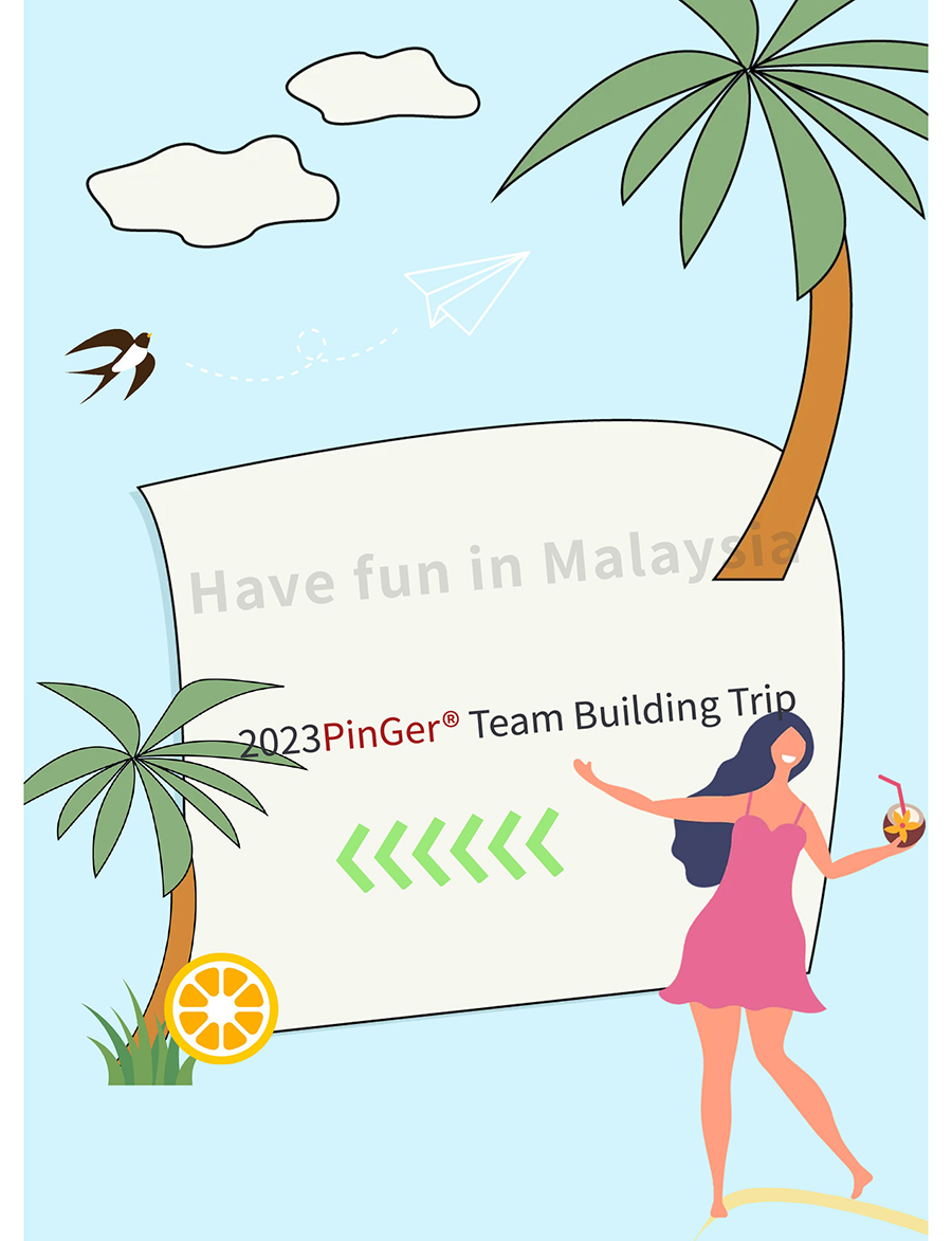 PinGer® Team Building