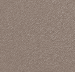 Suede Grain (C)