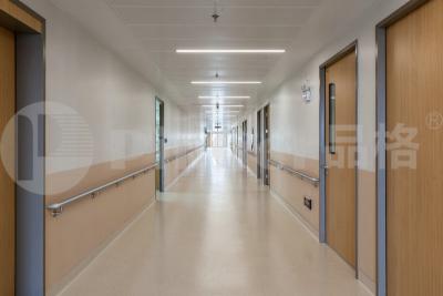 Stainless Steel Crash Handrail In Corridor Of Nursing Home