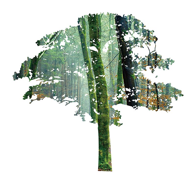 Wood Series | Indulge in the natural wood grain and enjoy the natural elegance
