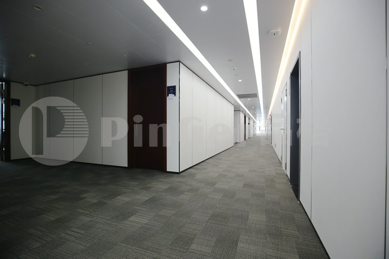 Pinger Wall Panel Functions And Features
