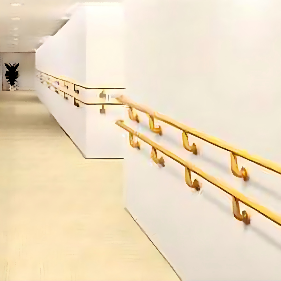 Non-barrier Handrail Gangway